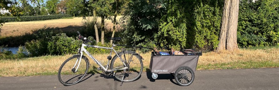 Buddy als Fahrradanhänger
